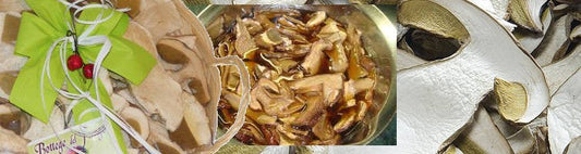 Come conservare i funghi porcini secchi