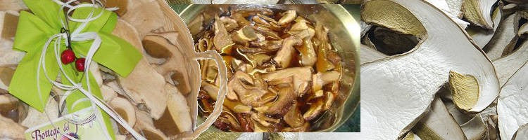 Come conservare i funghi porcini secchi