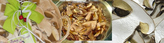 Come conservare i funghi porcini secchi