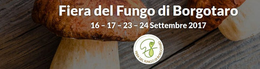 Una bella gita a Borgotaro, funghi e non solo...