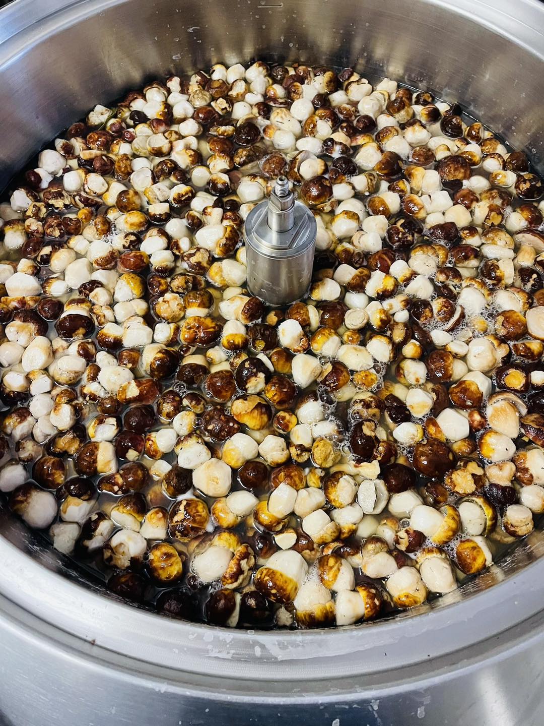 Cottura funghi porcini