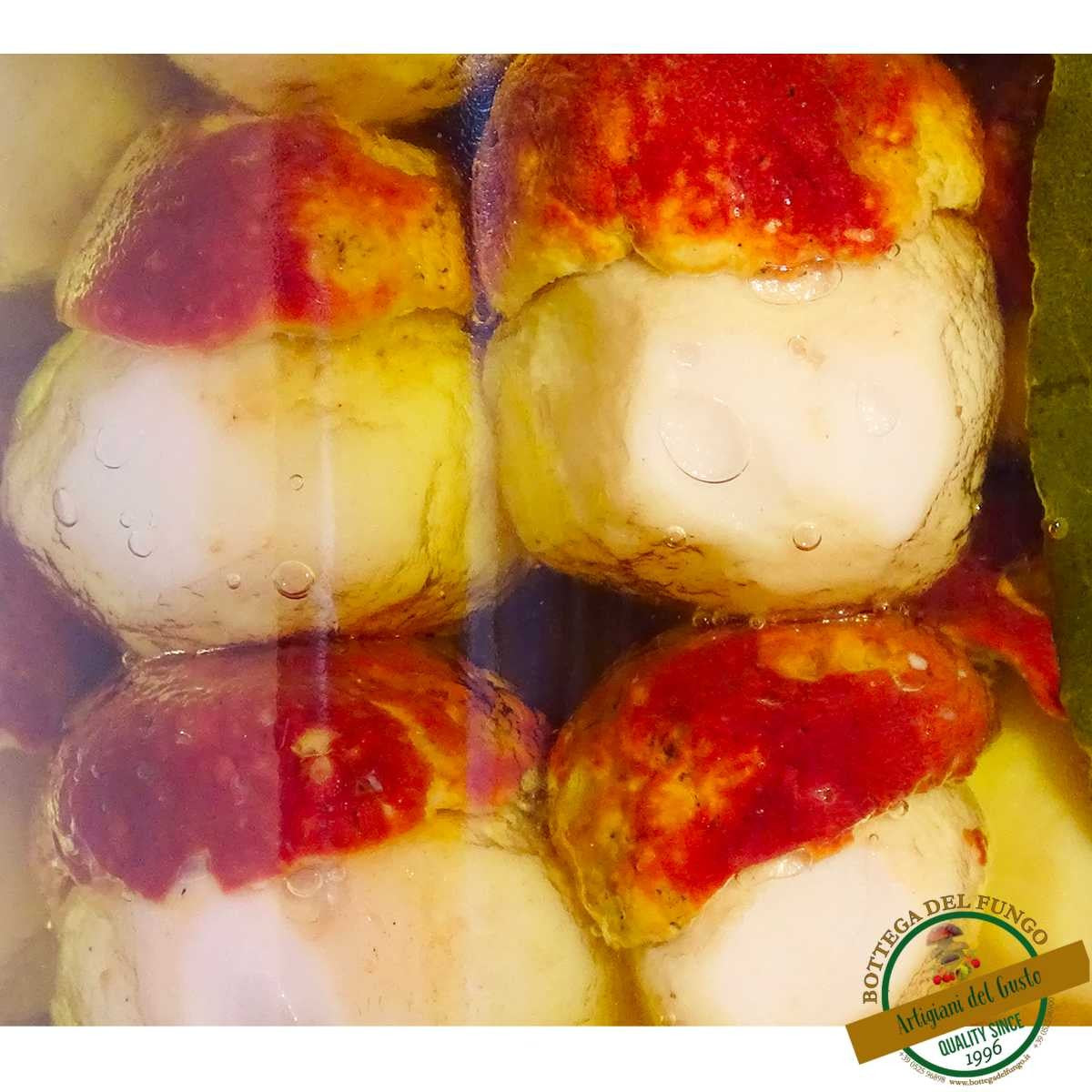 Funghi Porcini interi testa nera in olio d'oliva 1500g