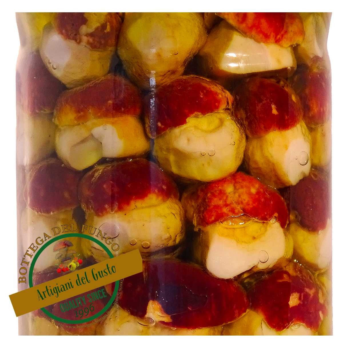 Funghi Porcini interi testa nera in olio d'oliva 2900g