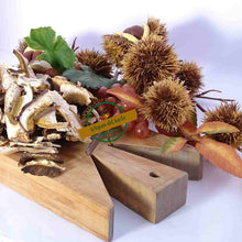 Funghi Porcini secchi "tipo speciale" Sacchetto 100g