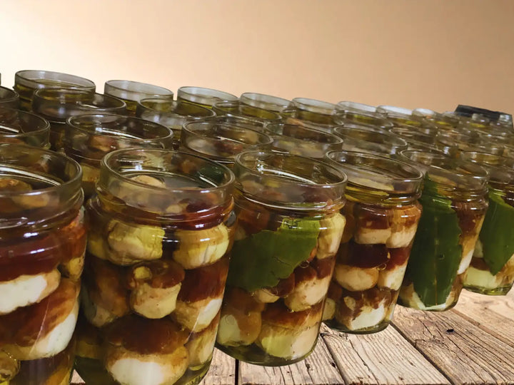 vasi porcini testa nera interi