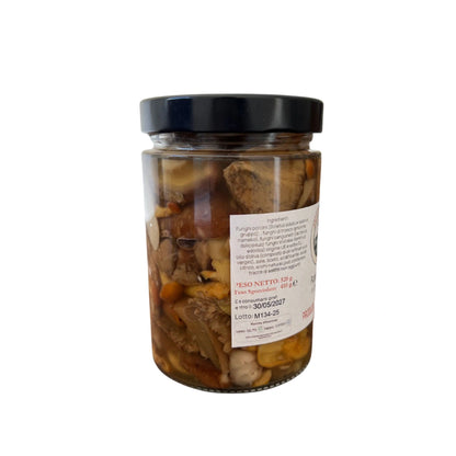 Funghi misti in olio d'oliva 520 g