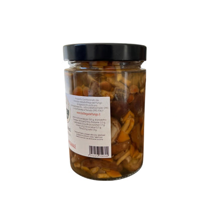 Funghi misti in olio d'oliva 520 g