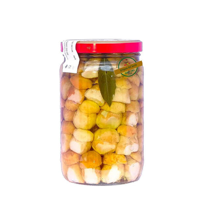 Funghi porcini interi bianchi in olio d'oliva 1500g