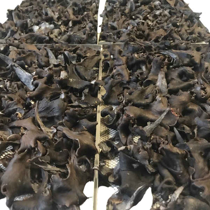 Trombette dei morti secche 70g