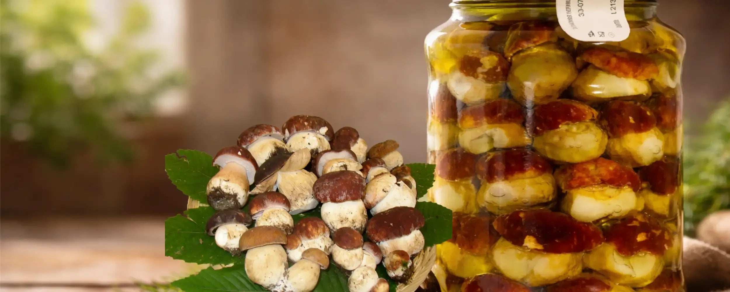 Funghi porcini in olio d'oliva