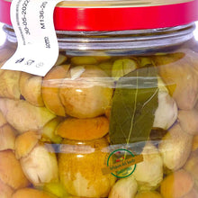 Funghi porcini interi bianchi in olio d'oliva 2900g