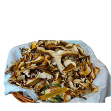 Funghi Porcini Secchi "SPECIALE"